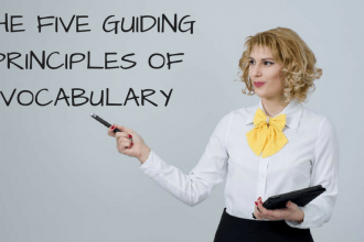 The five guiding principles of vocabulary learning