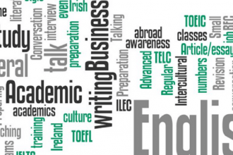 English as a Lingua Franca in University