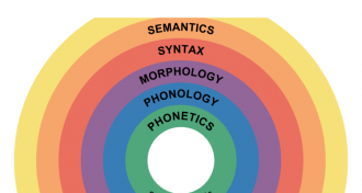 The Role of Semantics in Speaking Classes