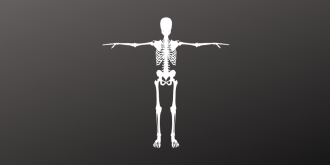 Flesh the Skeleton