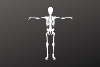 Flesh the Skeleton