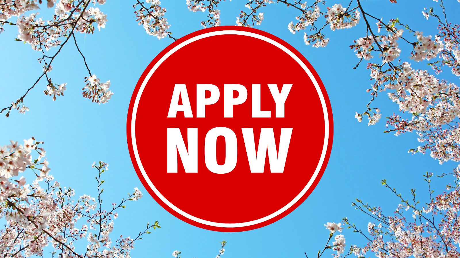 English Teaching Jobs in Japan Teaching English in Tokyo english teacher in japan hiring